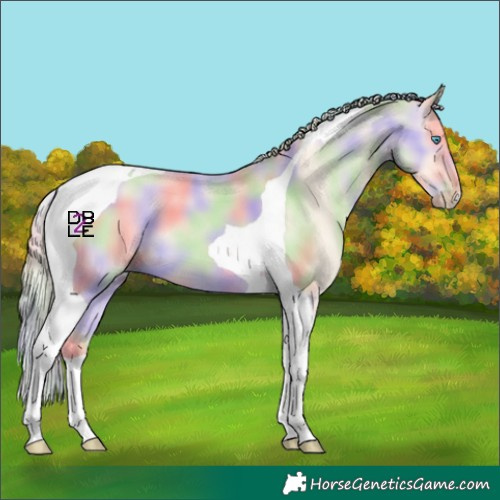 Horse Color:Nacre Perlino Tobiano 