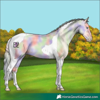 Horse Color:Nacre Perlino Tobiano 