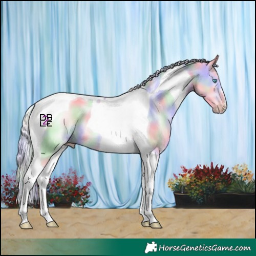 Horse Color:Nacre Cremello Tobiano 