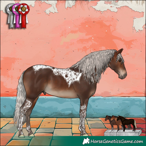 Horse Color:Silver Brown Tobiano 