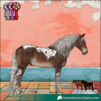 Horse Color:Silver Brown Tobiano 