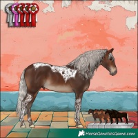 Horse Color:Silver Brown Tobiano