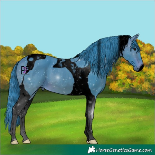 Horse Color:Void Watercolor Bay Tobiano