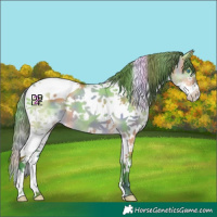 Horse Color:Nacre Watercolor Buckskin Dun Splash Tobiano 