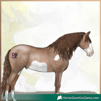 Horse Color:Brown Pearl Frame
