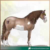 Horse Color:Brown Pearl Frame