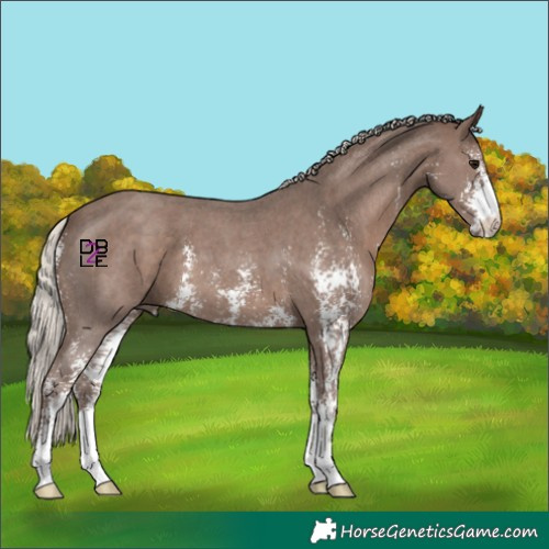 Horse Color:Silver Black Sabino