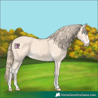 Horse Color:Perlino 