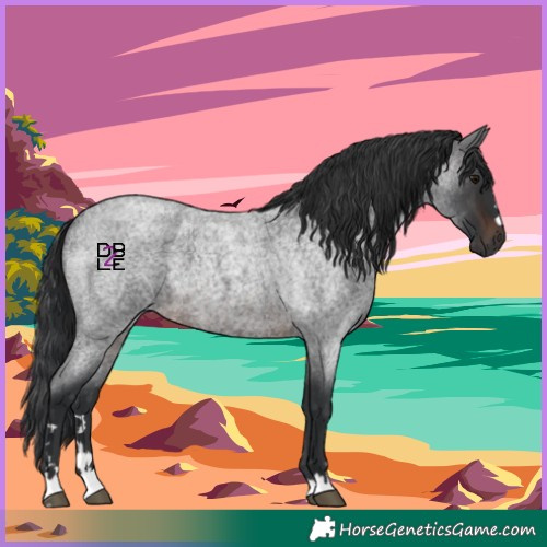 Horse Color:Brown Roan Mushroom