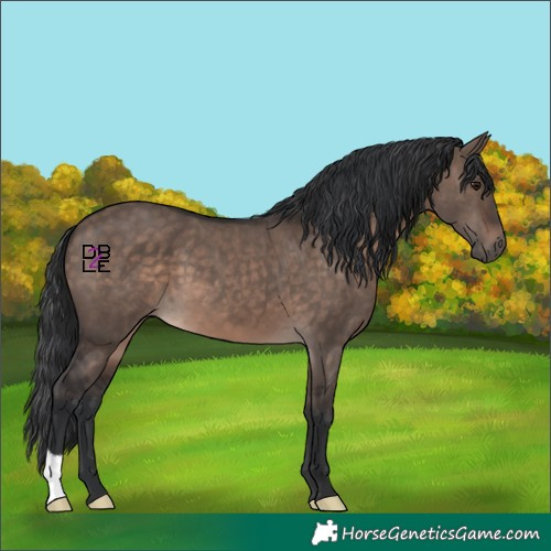Horse Color:Brown Dun Mushroom 