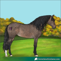 Horse Color:Brown Dun Mushroom
