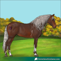 Horse Color:Silver Bay Tobiano