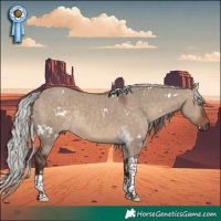 Horse Color:White Spotted Silver Brown Dun Tobiano Rabicano