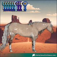 Horse Color:White Spotted Silver Brown Dun Tobiano Rabicano 
