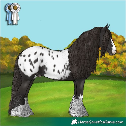 Horse Color:Liver Chestnut Blanket 