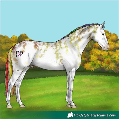 Horse Color:Painted Chestnut Sabino Splash 