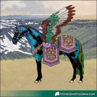 Horse Color:ERROR: UNKNOWN ANOMALY