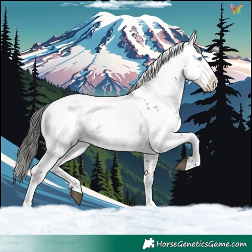 Horse Color:Liver Chestnut Frame