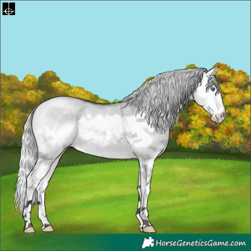 Horse Color:Silver Buckskin Chinchilla Dun Sabino Splash