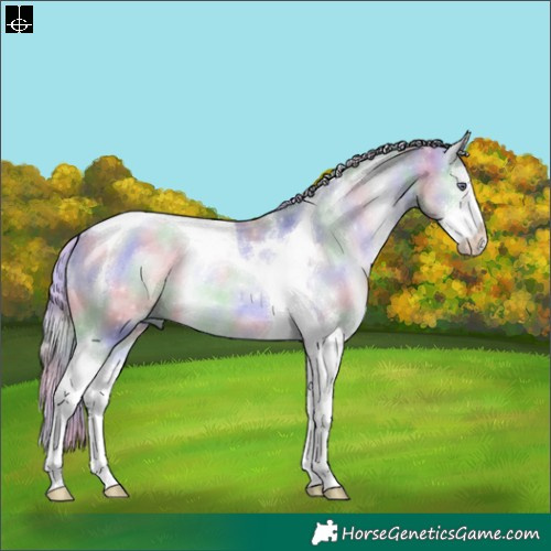 Horse Color:Nacre Silver Brown Chinchilla Dun Sabino Tobiano 
