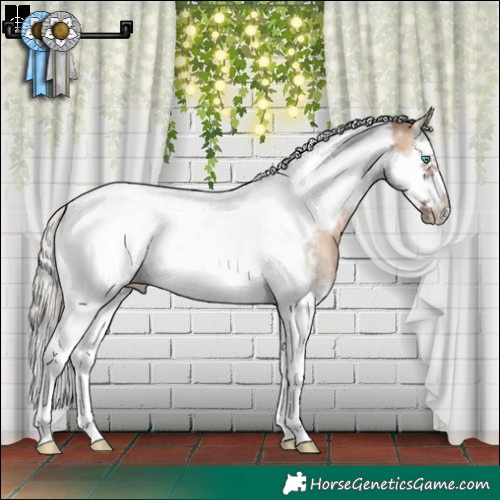 Horse Color:Silver Brown Onyx Sabino Splash Tobiano Frame