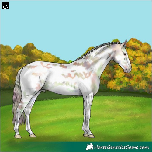 Horse Color:Nacre Silver Buckskin Onyx Tobiano Frame