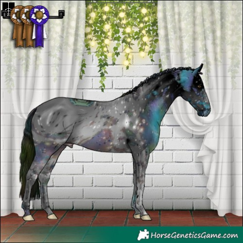 Horse Color:ERROR: UNKNOWN ANOMALY