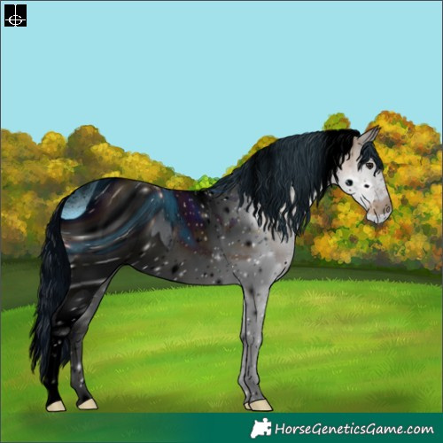 Horse Color:ERROR: UNKNOWN ANOMALY