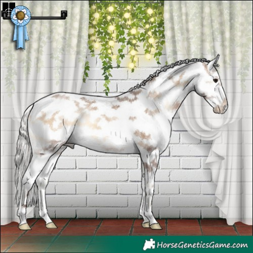 Horse Color:Silver Brown Ice Onyx Sabino Splash
