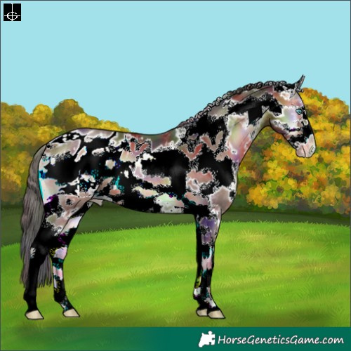 Horse Color:Nacre Bay Onyx Sabino Frame Blanket 