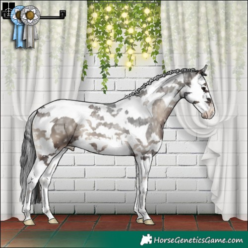 Horse Color:Blue Onyx Ice Splash Tobiano Varnish