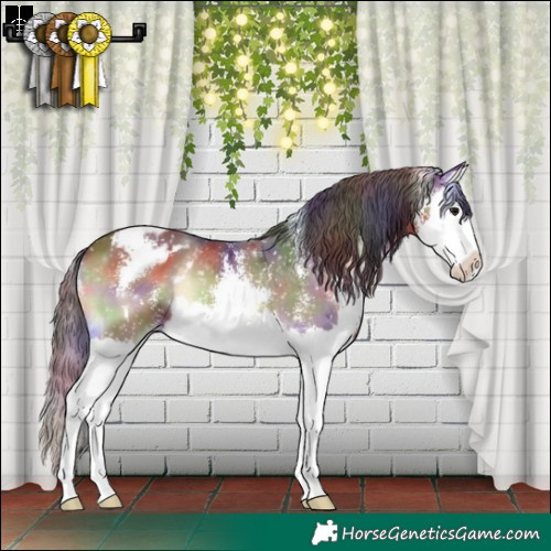 Horse Color:Nacre Bay Onyx Sabino Splash Snowflake Varnish