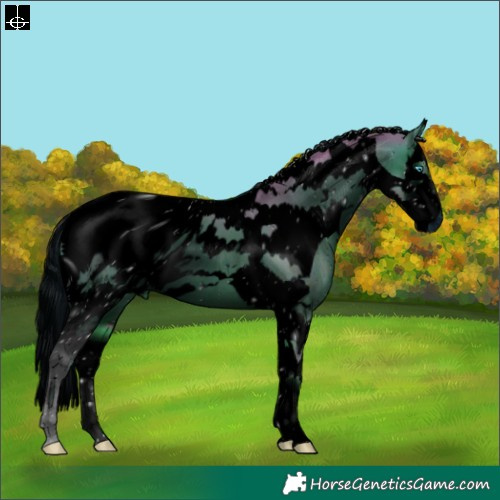 Horse Color:ERROR: UNKNOWN ANOMALY