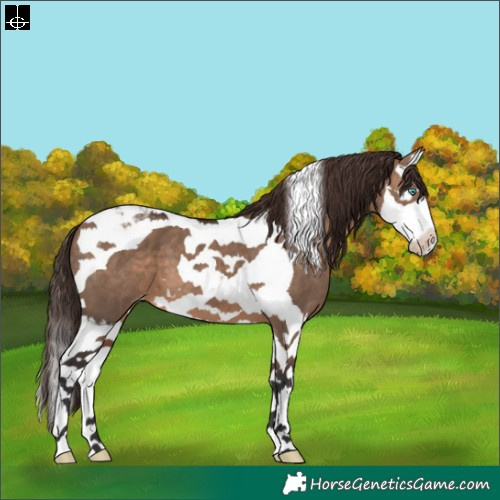 Horse Color:Brown Dun Splash Tobiano Varnish 