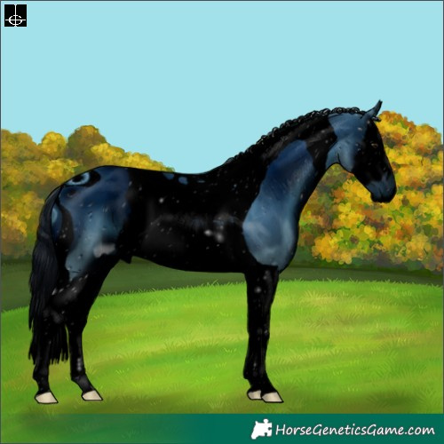 Horse Color:ERROR: UNKNOWN ANOMALY