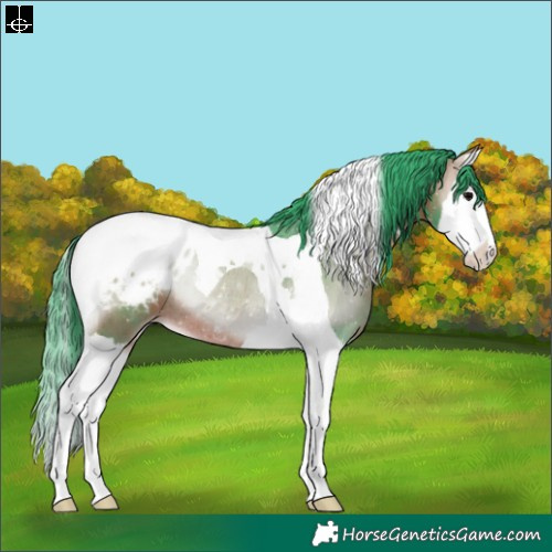 Horse Color:Watercolor Bay Onyx Splash Tobiano Appaloosa Rabicano 