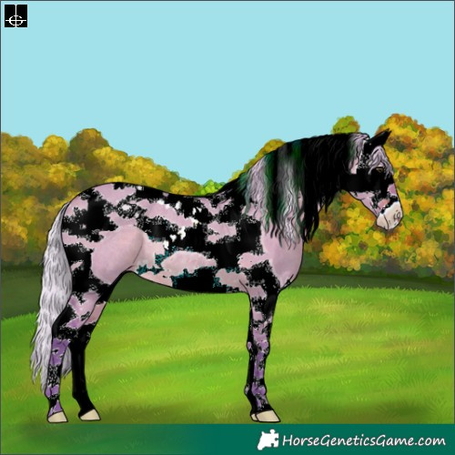 Horse Color:Watercolor Silver Brown Dun Splash Tobiano Rabicano