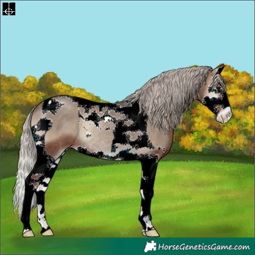 Horse Color:Silver Blue Onyx Splash Tobiano Rabicano