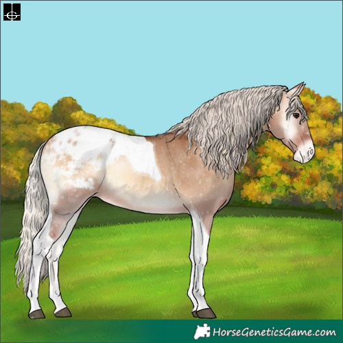 Horse Color:Silver Bay Onyx Tobiano Blanket Rabicano