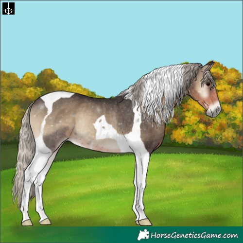 Horse Color:Silver Smoky Blue Onyx Tobiano Rabicano