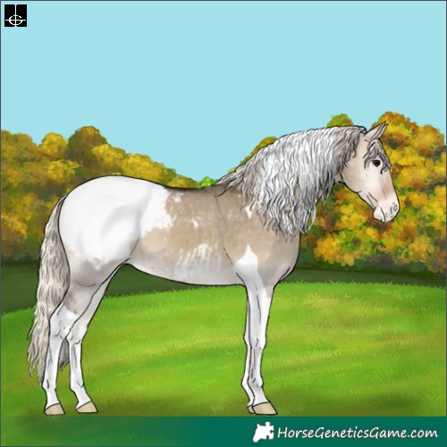 Horse Color:Silver Smoky Grullo Onyx Tobiano Snowcap 