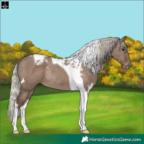 Horse Color:Silver Grullo Tobiano Varnish Rabicano 