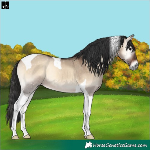Horse Color:Brown Onyx Tobiano