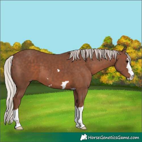 Horse Color:Silver Black