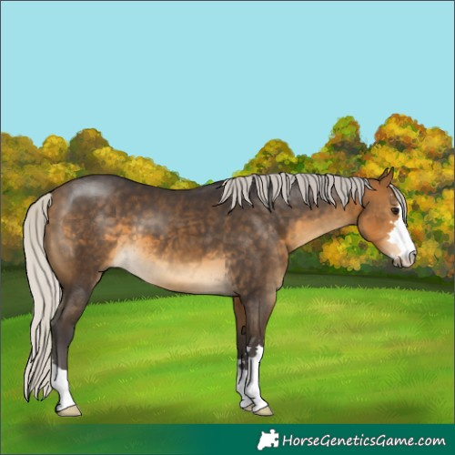 Horse Color:Silver Buckskin 