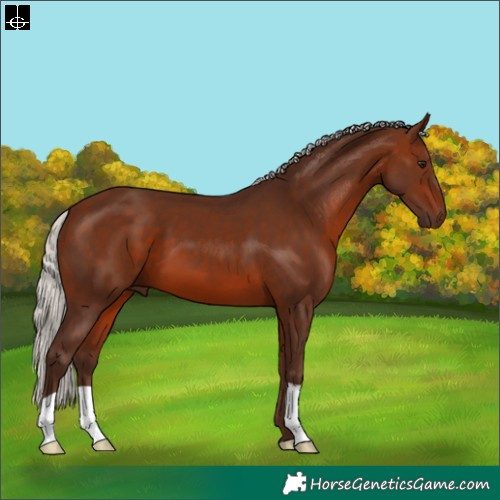 Horse Color:Silver Brown 