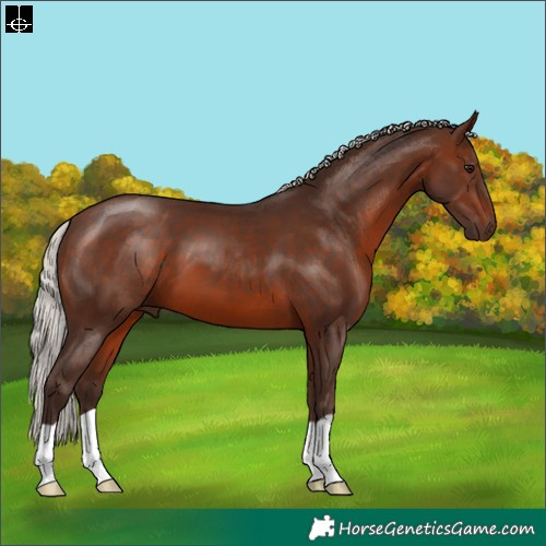 Horse Color:Silver Brown