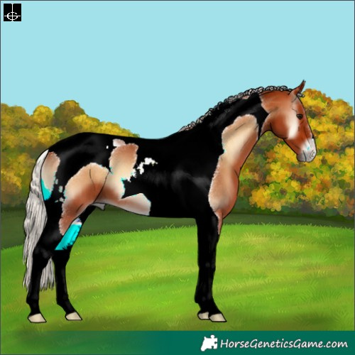 Horse Color:Silver Bay Onyx Tobiano 