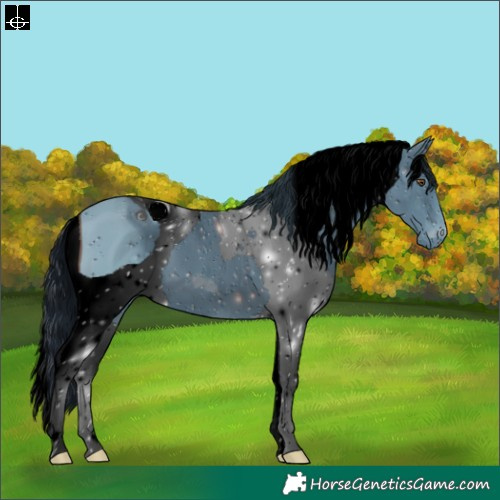 Horse Color:ERROR: UNKNOWN ANOMALY
