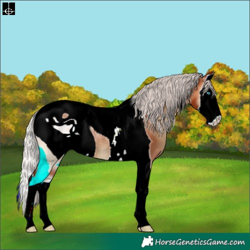 Horse Color:ERROR: UNKNOWN ANOMALY